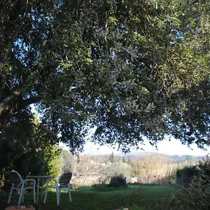 Apartment Fattoria Di Malavolta